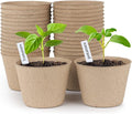 homenote Peat Pots by HOMENOTE