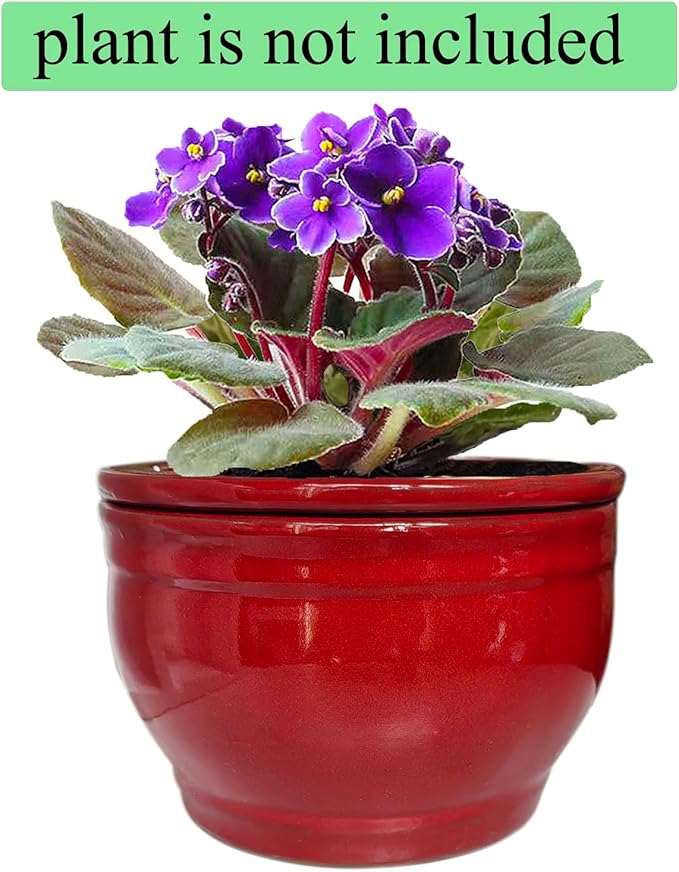 African Violet Pots Self Watering Round Ceramic Violet Pot - Image 5