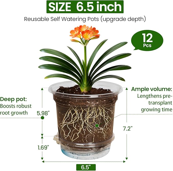 MIXC 12 Packs 6.5 Inch Self Watering Pots - Image 4