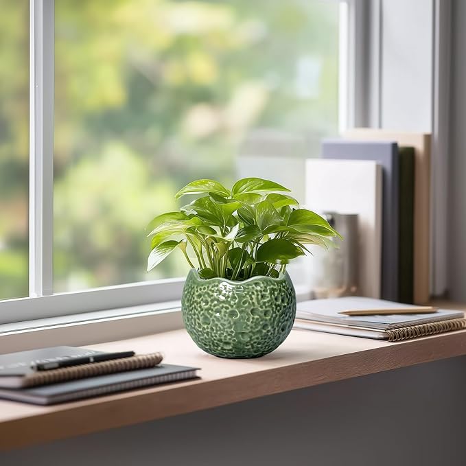 Ceramic Plant Pots - Image 5