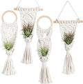 Melphoe 4 Pack Air Plants Holders Stand Air Fern Macrame Plant Hanger Indoor by Melphoe