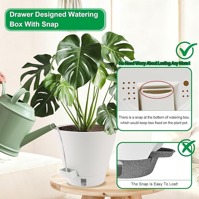 Self-Watering-Pots-for-Indoor-Plants, 8 Inch Flower Pots - Image 4