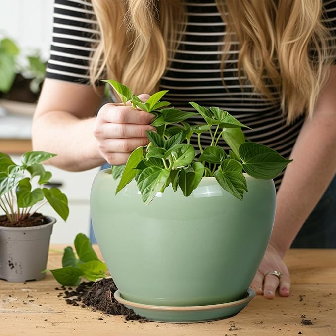 8 Inch Plant Pot - Image 5