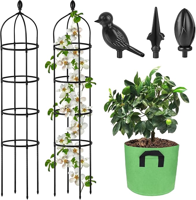 Garden Obelisk Trellis for Climbing Plants Outdoor 6 Ft Rose Bush Round Trellis by Miuwauer