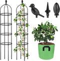 Garden Obelisk Trellis for Climbing Plants Outdoor 6 Ft Rose Bush Round Trellis by Miuwauer
