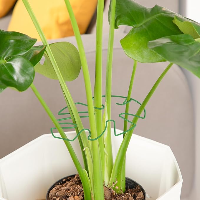 6PCS Iron Monstera Plant Support, Uniquely Designed Indoor Plant Accessories - Image 6