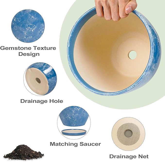 8 Inch Plant Pot - Image 6