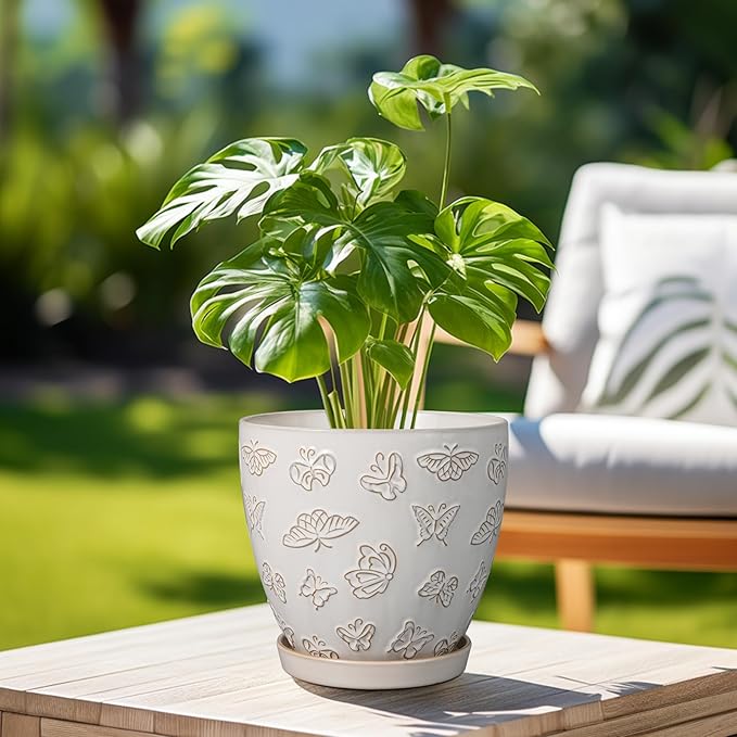 Ceramic Planter 8 Inch - Image 4