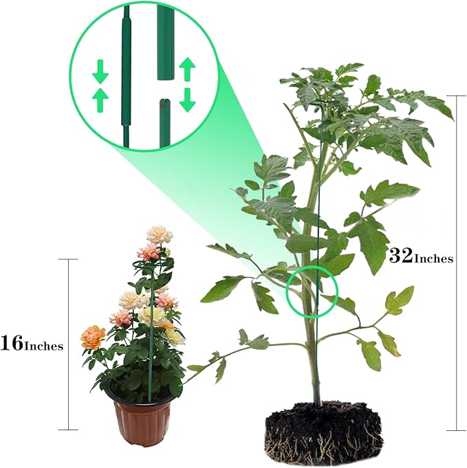 8 Pack Plant Stakes, Plant Support Stakes - Image 3