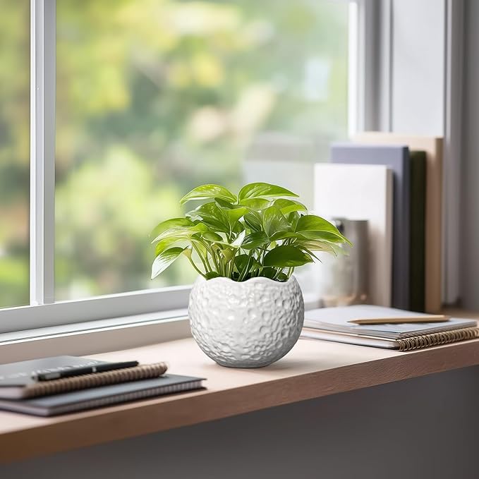 4 inch Plant Pots - Image 5