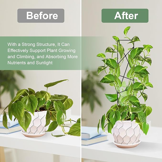 17.5 Inch Indoor Plant Trellis for Climbing Plants, Metal Trellis, Small Garden - Image 3