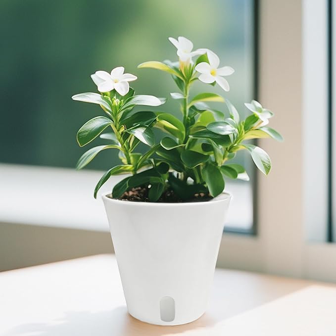 3" Self Watering Pots - Image 6