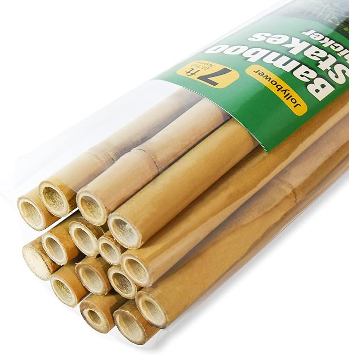 15pcs 3/4" D Thicker Heavy Duty Bamboo Stakes, 7FT Plant Stakes, Natural Garden by Jollybower