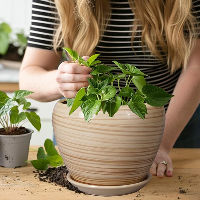 Planter 8 Inch - Indoor/Outdoor Ceramic Plant Pot - Image 4