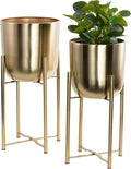 CosmoLiving by Cosmopolitan Metal Indoor Outdoor Planter Dome Large Planter Pot by Deco79