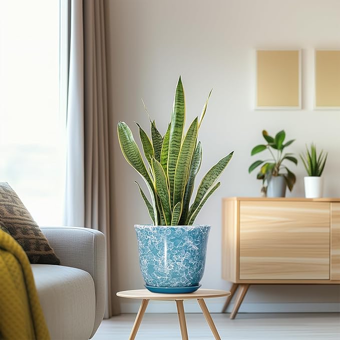 8 Inch Plant Pot - Image 5