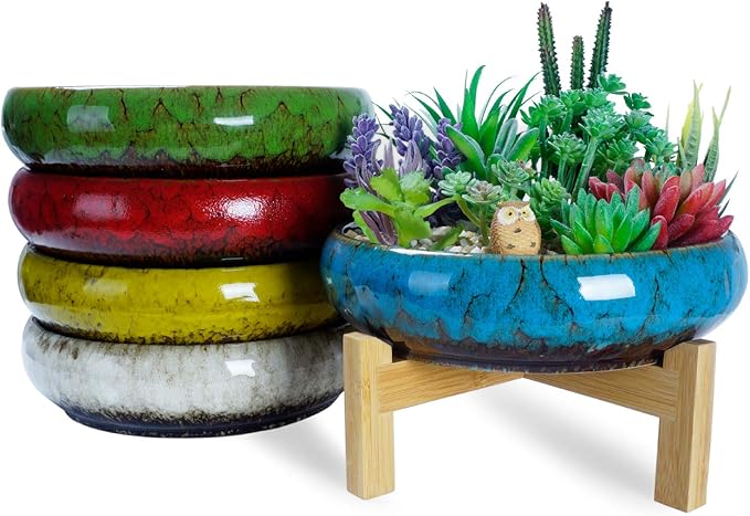 Succulent Pots, 10 Inch Large Succulent Planters - Image 7