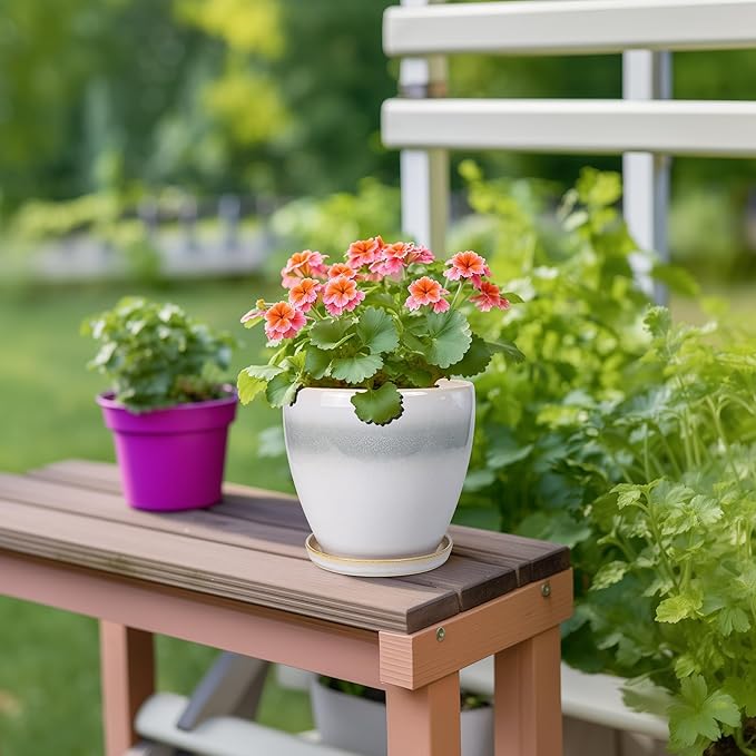 Ceramic Plant Pot - Image 4