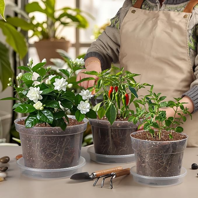9 Pack 8/7/6 Inch Clear Nursery Pots - Image 5