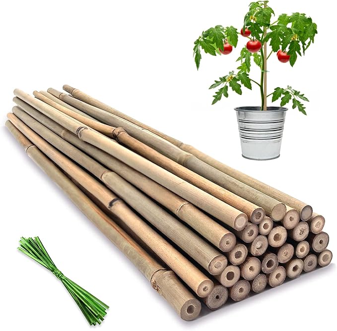 Plant Stakes, 18 Inches Natural Garden Bamboo Sticks, BOVITRO 20Pcs Plant by BOVITRO