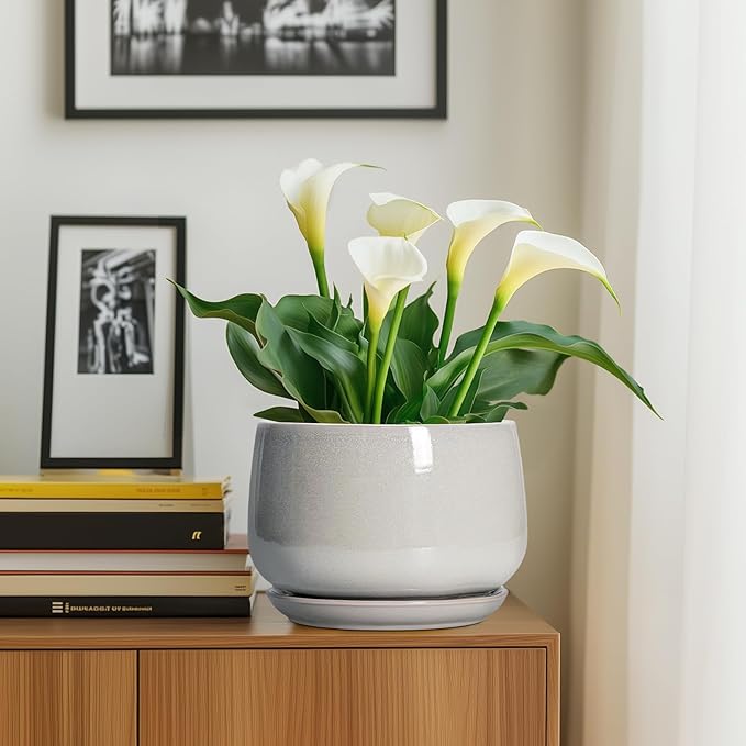 G EPGardening Ceramic Plant Pots - Image 8