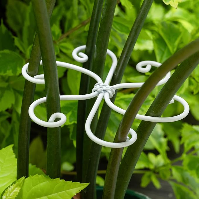 5PCS Monstera Plant Support Hook White 4.1 * 4.1 Inch – Set of 5 Durable Metal by Yohsnor