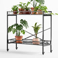 Zhongma 2 Tier Sturdy Metal Plant Stand by Zhongma