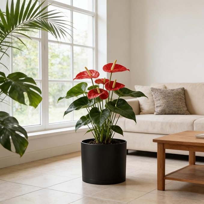 10 Inch Round Plastic Plant Pot - Image 6