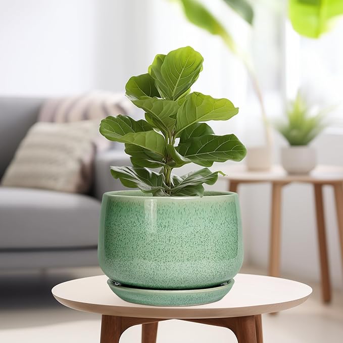 G EPGardening Ceramic Planter - Image 4