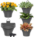 MADHOLLY 6Pcs Vertical Hanging Planters by MADHOLLY