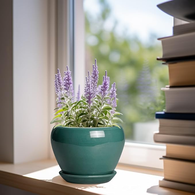 Indoor Plant Pot 6 Inch - Image 2