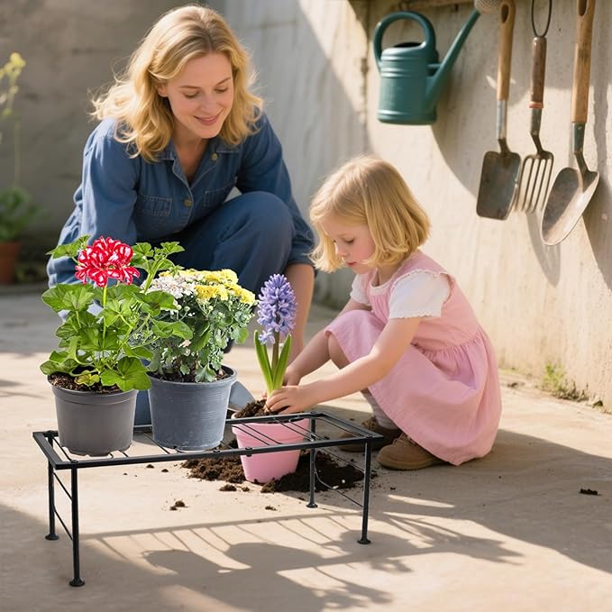 2 Pack Metal Plant Stand Indoor Outdoor, 1 Tier Heavy Duty Flower Pot Stands - Image 9