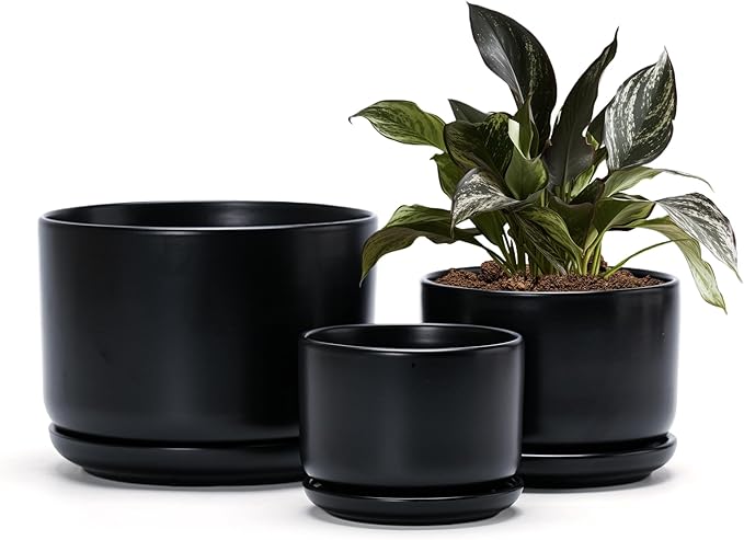Ton Sin Plant Pots, 4.1+5.1+6.5 inch, Ceramic Planters by TonSin