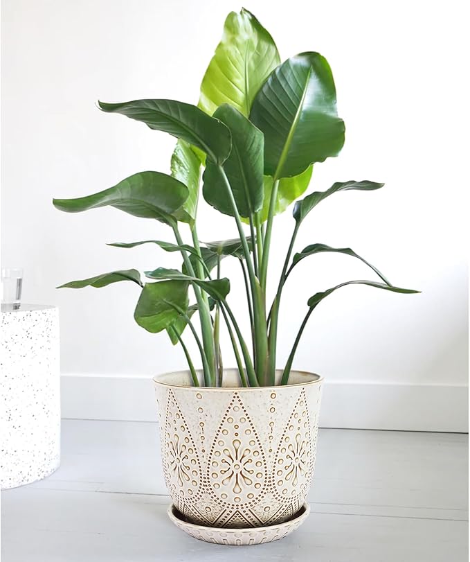 Gepege 10 Inch Plant Pot, Creamy White Ceramic Planter - Image 7