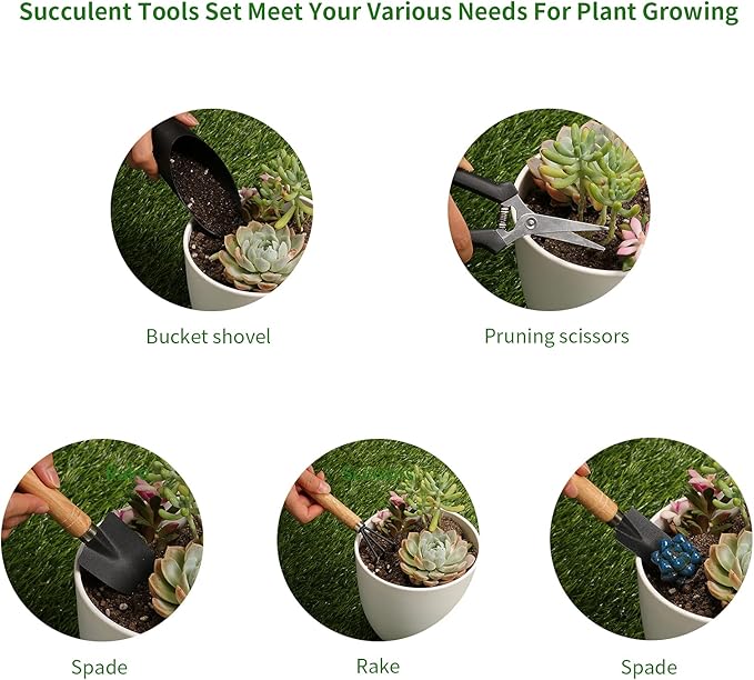 5Pcs Succulent Tools, Mini Garden Tools, Pruning Scissors as Plant Accessories - Image 3