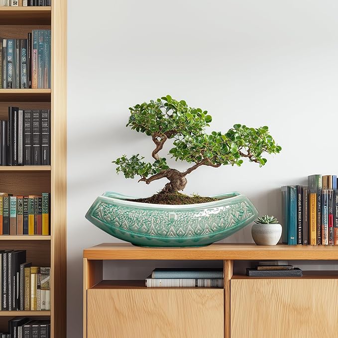 Bonsai Tree Pot - Image 3