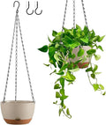 Hanging Planters for Indoor Plants by Unknown