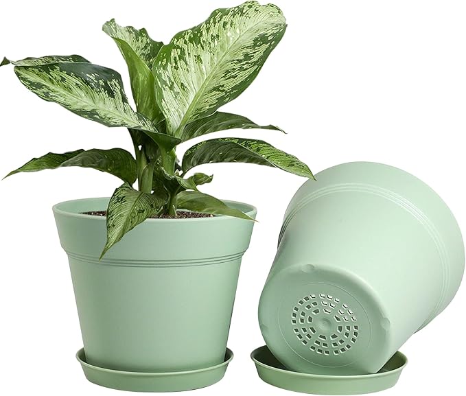 WOUSIWER 16 Pack 6 inch Plastic Planters, Plastic Indoor Planter Flower Pots - Image 3