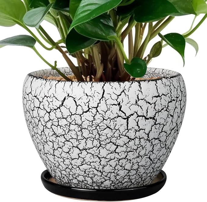 Ceramic Planter Pot by Ceramicfor