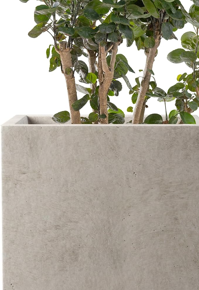 Kante 15.7" H Tall Rectangular Concrete Planters, Outdoor Indoor Lightweight - Image 7