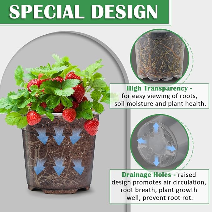 30 Pack 7/6/5/4/3 Inch Clear Nursery Pots - Image 4