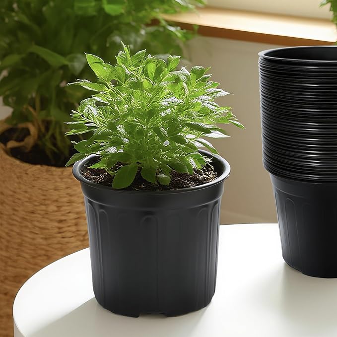 40 Pack 3 Gallon Nursery Plant Pots, 10 Inch Plastic Garden Flower Seedling - Image 6