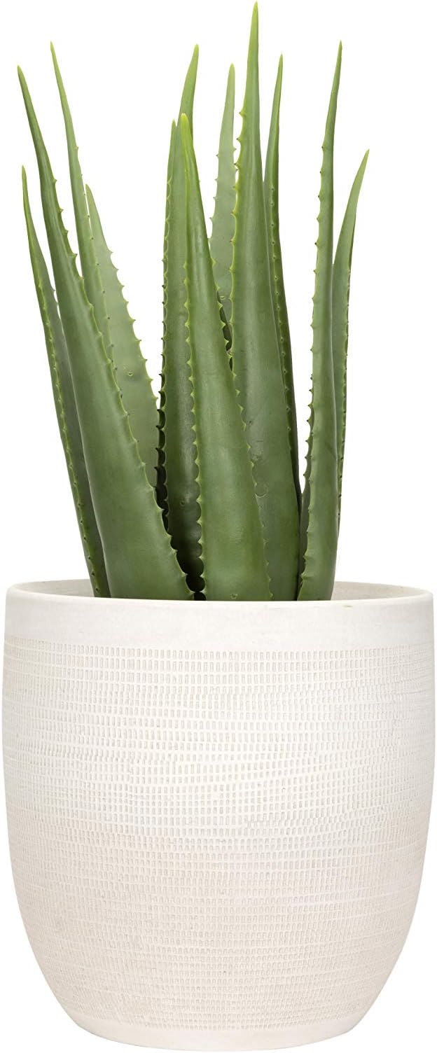 Creative Co-Op Large Matte White Embossed Stoneware Planter - Image 5