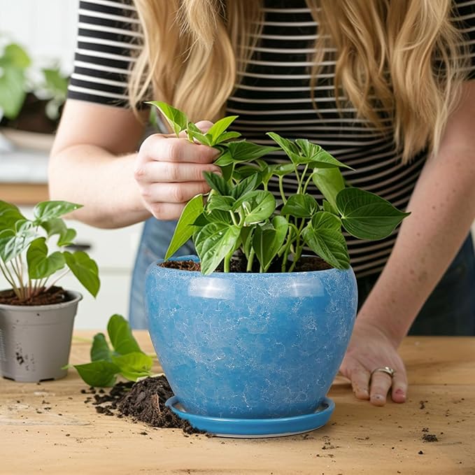 6 Inch Plant Pot - Image 7