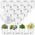 SHENLIU 3" Self Watering Pots, 20 Sets Plastic Self Watering Planters by Unknown