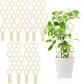 Nuenen 5 Pack Indoor Plant Trellis by Nuenen