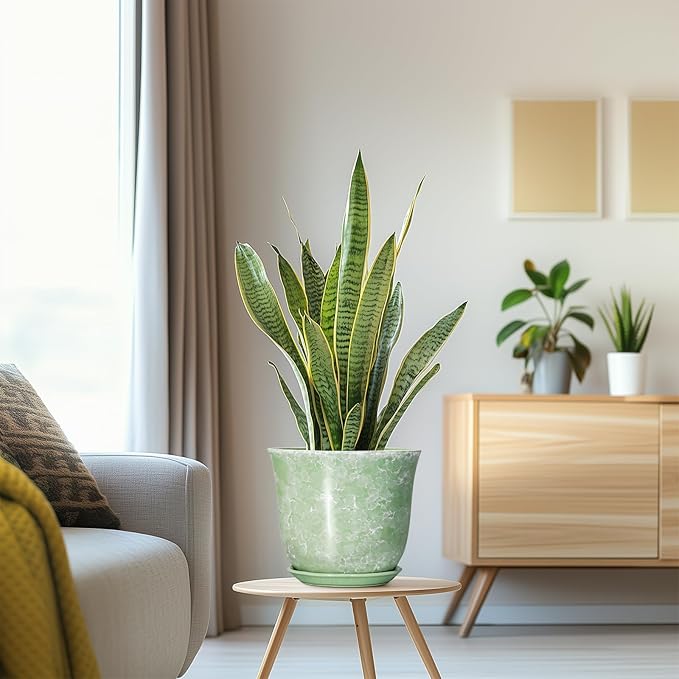 Ceramic Planter - Image 5