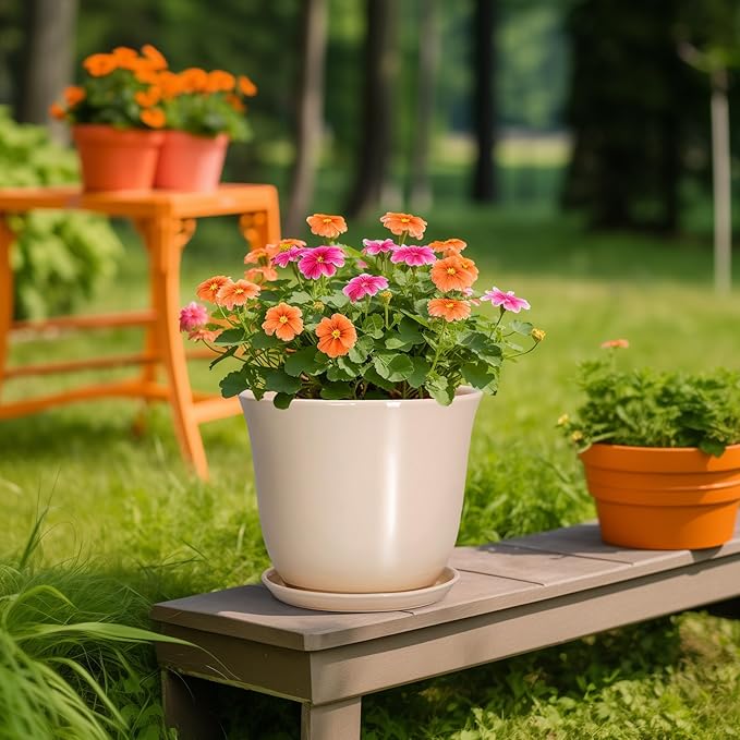Ceramic Planter - Image 5
