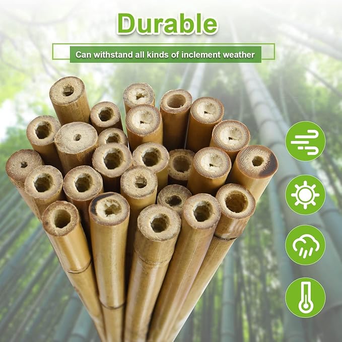 30pcs 3/10" D Thicker Heavy Duty Bamboo Stakes, 2FT Plant Stakes, Natural - Image 4