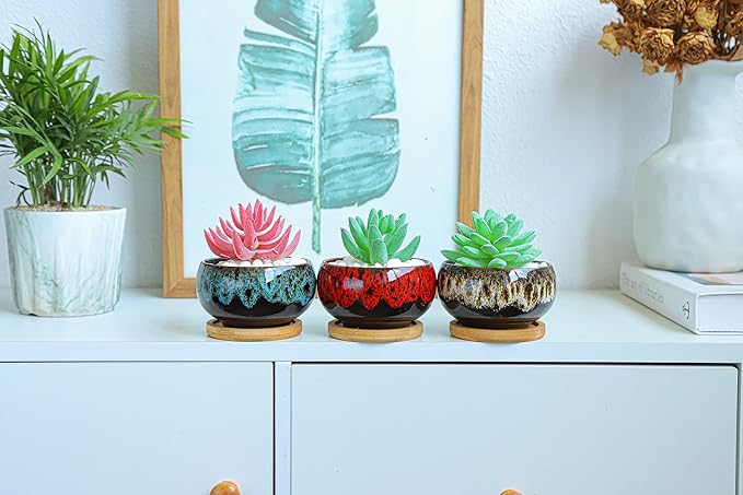 Cute Ceramic Succulent Garden Pots, Planter - Image 8